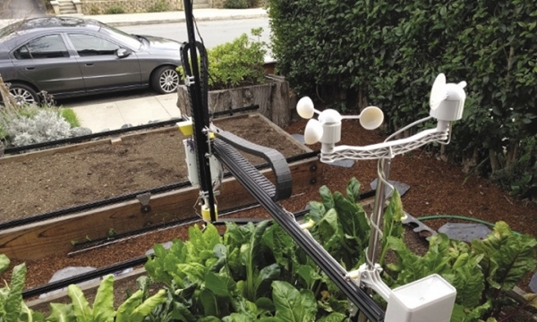Robot trồng rau thay con người